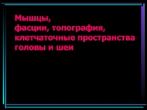 Мышцы, фасции, топография, клетчаточные пространства головы и шеи