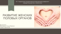 Развитие женских половых органов