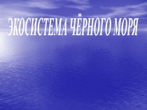 ЭКОСИСТЕМА ЧЁРНОГО МОРЯ