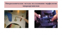 Микроскопические методы исследования морфологии микроорганизмов