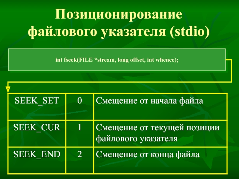 Структура объединения