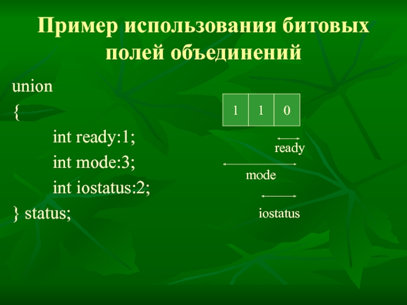 Поле объединения. Битовые поля в си. Битовая структура. Битовые поля в структуре. Структуры с битовыми полями.