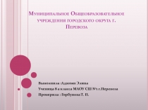 Муниципальное Общеобразовательное учреждения городского округа г.Перевоза