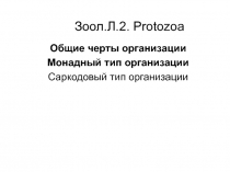 Зоол.Л.2. Protozoa