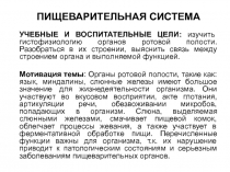 ПИЩЕВАРИТЕЛЬНАЯ СИСТЕМА