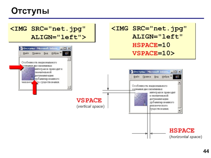 Web- страницы. Язык HTML Отступы VSPACE(vertical space)HSPACE(horizontal space) Отступы VSPACE(vertical space)HSPACE(horizontal space)