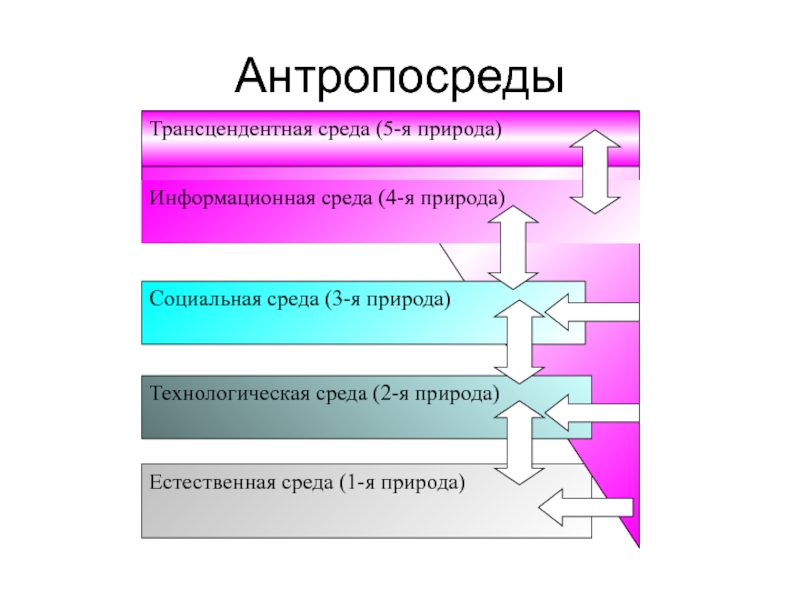 Я стал студентом трансцендентной академии. Технологическая среда.