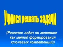 primery_reshenia_zadach_k_ekzamenu