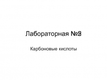 Лабораторная №2