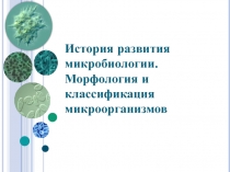 История развития микробиологии. Морфология и классификация микроорганизмов