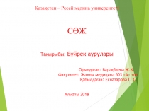 Қазақстан – Ресей медина университеті СӨЖ Тақырыбы: Бүйрек аурулары Орындаған: