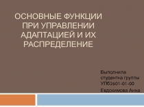 Основные функции при управлении адаптацией и их распределение