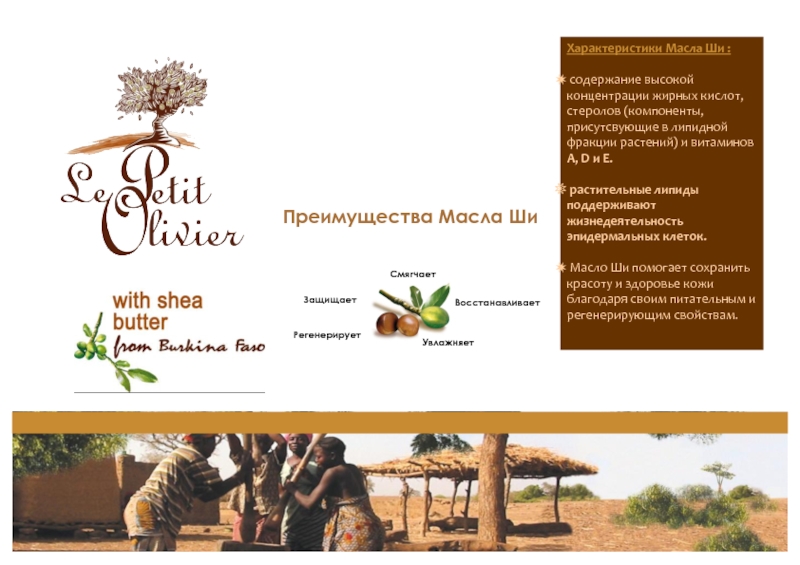 With Fair Trade SHEA BUTTER
БЕЗ ПАРАБЕНОВ И
ФЕНОКСИЭТАНОЛА Преимущества Масла ШиЗащищаетСмягчаетВосстанавливаетРегенерируетУвлажняетХарактеристики Масла Ши : содержание высокой концентрации жирных кислот, Преимущества Масла ШиЗащищаетСмягчаетВосстанавливаетРегенерируетУвлажняетХарактеристики Масла Ши : содержание высокой концентрации жирных кислот, стеролов (компоненты, присутсвующие в липидной фракции