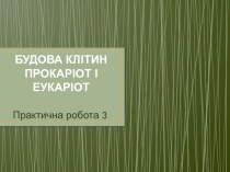 БУДОВА КЛІТИН ПРОКАРІОТ І ЕУКАРІОТ