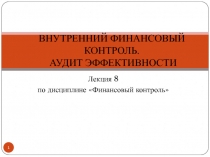 ВНУТРЕННИЙ ФИНАНСОВЫЙ КОНТРОЛЬ. АУДИТ ЭФФЕКТИВНОСТИ