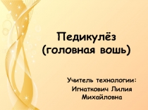 Педикулёз (головная вошь)