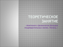 Теоретическое занятие
