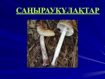 САҢЫРАУҚҰЛАҚТАР