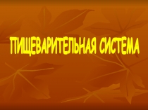 ПИЩЕВАРИТЕЛЬНАЯ СИСТЕМА