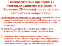 Гистологические препараты к Итоговым занятиям (№ слева) и Экзамену (№ справа)