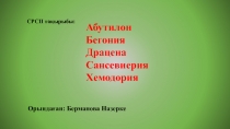 Абутилон
Бегония
Драцена
Сансевиерия
Хемодория
СРСП тақырыбы:
Орындаған: