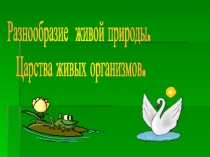 Разнообразие живой природы.
Царства живых организмов