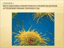 Лекция 7. Механизмы иммунного повреждения. Аутоиммунные процессы