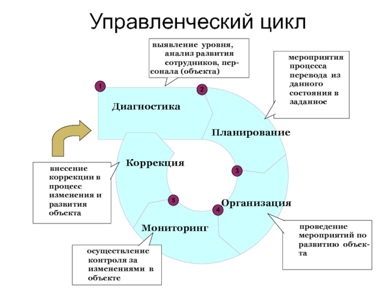 Управленческий цикл схема