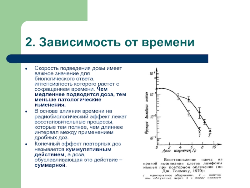 Биологический ответить. Радиочувствительность клеток на разных стадиях цикла. Факторы влияющие на радиочувствительность клеток. Терапевтический интервал радиочувствительности.