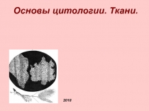 Основы цитологии. Ткани