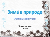 Обобщающий урок
Человек и мир
1 класс