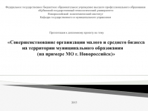 Совершенствование организации малого и среднего бизнеса на территории