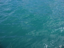 23-Величие подвига первого морехода22-Потапова Катя, 10 лет Дарвид-ДТДМ Тверь