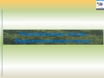 Рациональные числа. Иррациональные числа