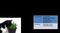 Росси й ский Государственный Аграрный Университет –
Московская
