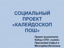 Проект выполнили бойцы СПО  Lednik  Прасолова Софья и Мизгирёва