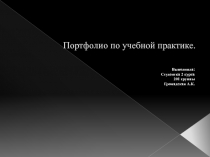 Портфолио по учебной практике