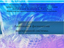 Автономное образовательное учреждение среднего профессионального образования