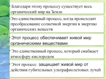 Благодаря этому процессу существует весь органический мир на Земле
Это