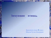 Зимующие птицы