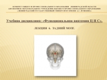 Комитет общего и профессионального образования Ленинградской области Автономное