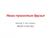 Наши пушистые друзья