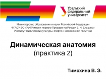 Динамическая анатомия (практика 2)
