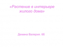 Растение в интерьере жилого дома