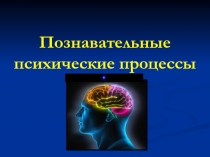 Познавательные психические процессы