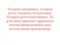 Тістердің анатомиясы, тістердің қатты тіндерінің гистологиясы. Тістердің