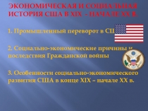 Экономическая и социальная история США в XIX - начале XX в