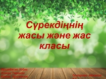 Сүрекдіңнің жасы және жас класы
Орындаған: Узбек Айжан, Төрежан Ержан,