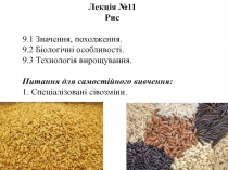 Лекція № 11
Рис
9.1 Значення, походження.
9.2 Біологічні особливості.
9.3