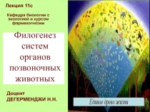 Филогенез систем органов позвоночных животных